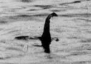 dragon Loch ness