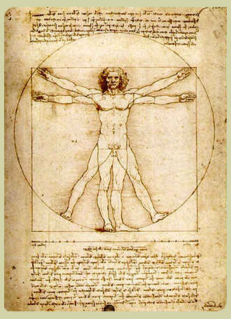 vitruvian man